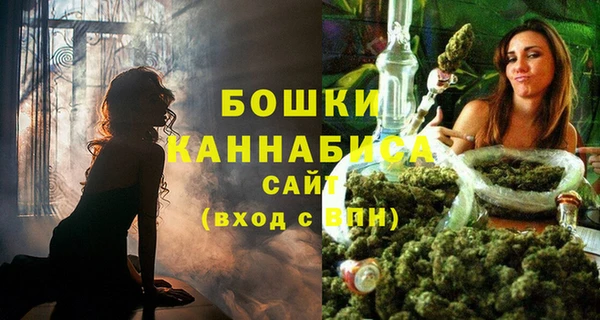 амф Горняк