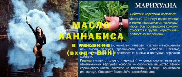 спиды Вяземский