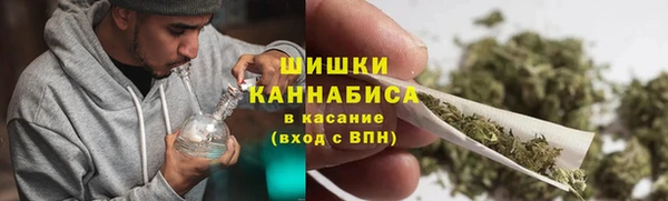 спиды Вяземский