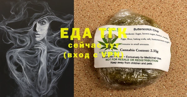 амф Горняк
